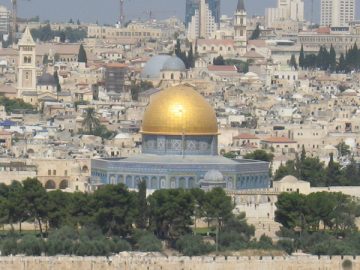 Nella Terra del “Santo”