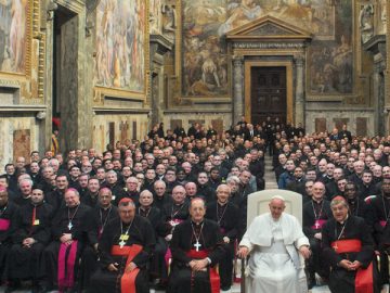 Una vocazione, una formazione, una missione