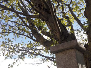 Quaresima, sorgente di misericordia