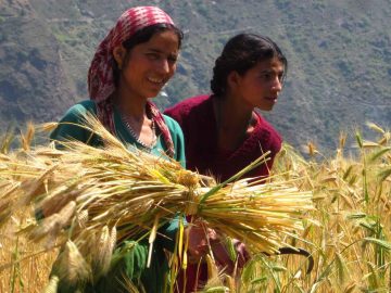 Anche i Seminaristi “nella messe del Signore”!