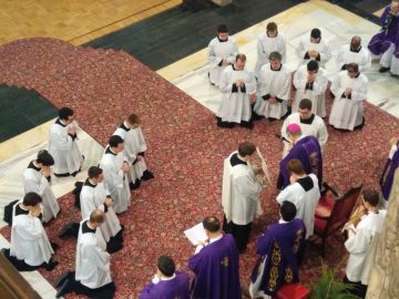 15 nuovi Lettori al servizio della Parola che genera vita!