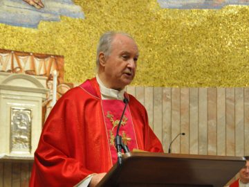 Visitatore Missionario