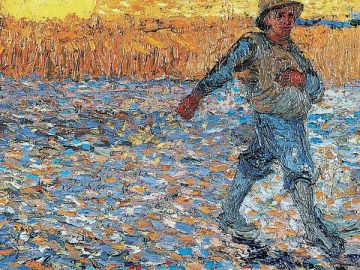 «A piene mani Tu semini nel campo della Chiesa»