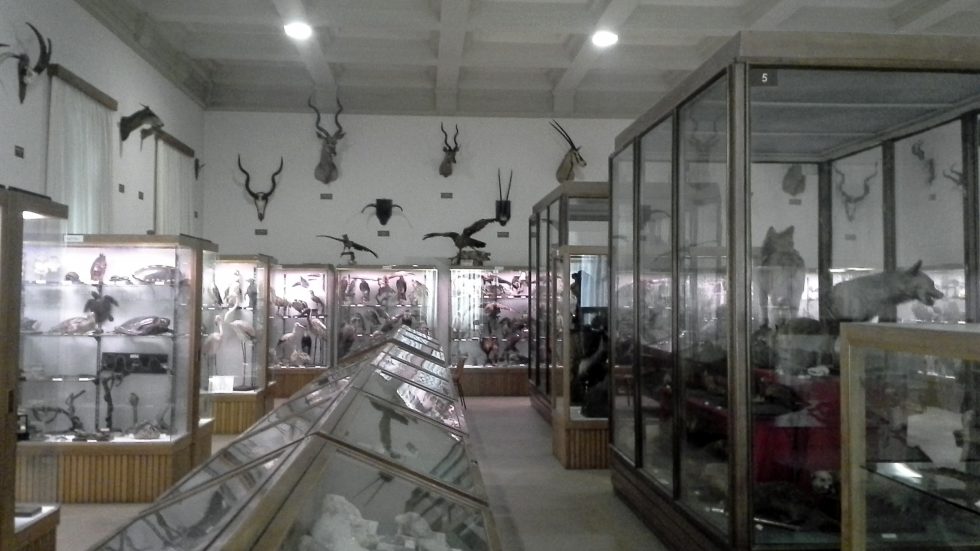 Museo di scienze naturali